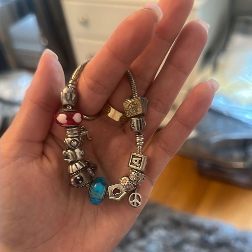 Pandora Silver Charm Bracelet - includes all charms